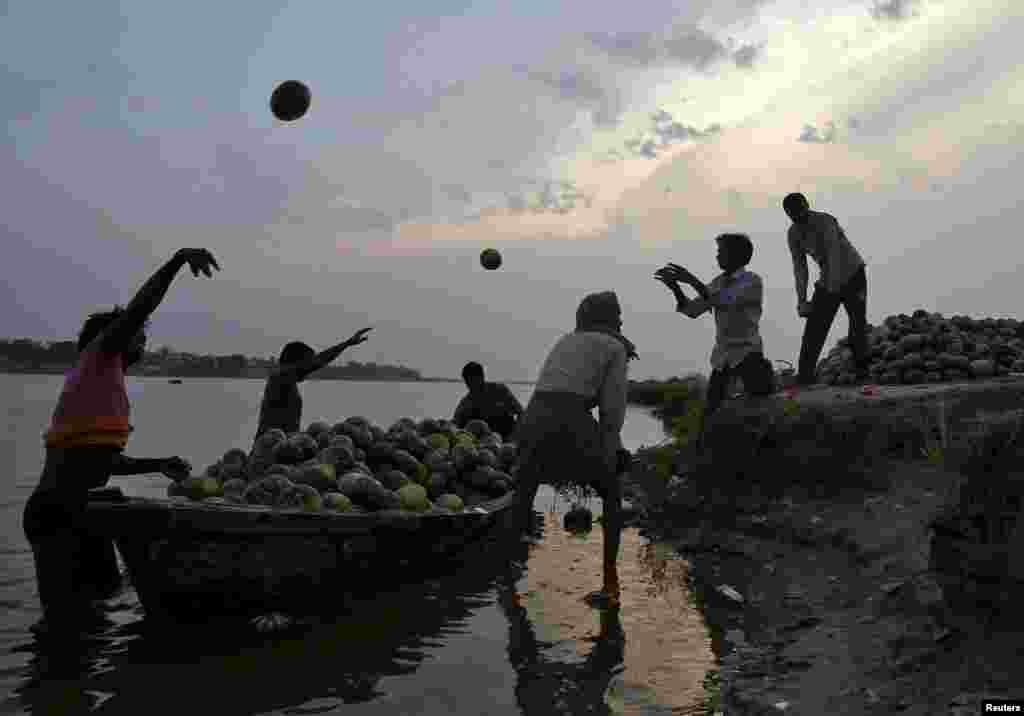 Фермеры разгружают лодку с урожаем тыквы на реке Ганг неподалеку от индийского города Аллахабад в Индии.