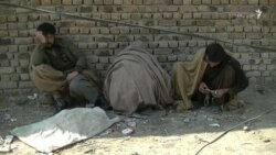 په شوقدر کې سلګونه کسان د هيروينو په نشه روږد دي