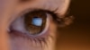 Në raport përmenden taktika të reja shqetësuese të grupeve ekstremiste, të cilat përdorin inteligjencën artificiale (AI) për të krijuar tekste, imazhe dhe video, me qëllim që të afrohen te publiku i ri.
