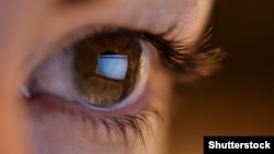 EUROPOL nastavlja pružati potporu državama članicama u sprječavanju i istraživanju širenja terorističkog sadržaja na internetu (ilustrativna fotografija)