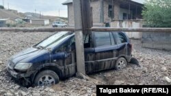 Селдин зыяны тактала элек. Чаңгыр-Таш айылы, Сузак району, Кара-Дарыя айыл аймагы. 21-июль, 2021-жыл.