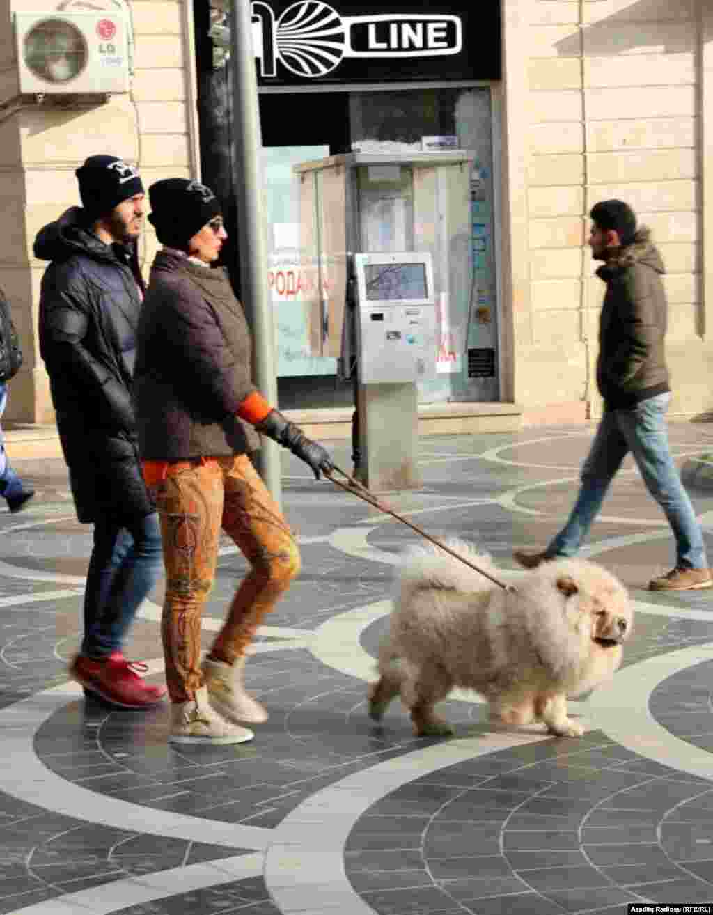 14 февраля 2015. Баку