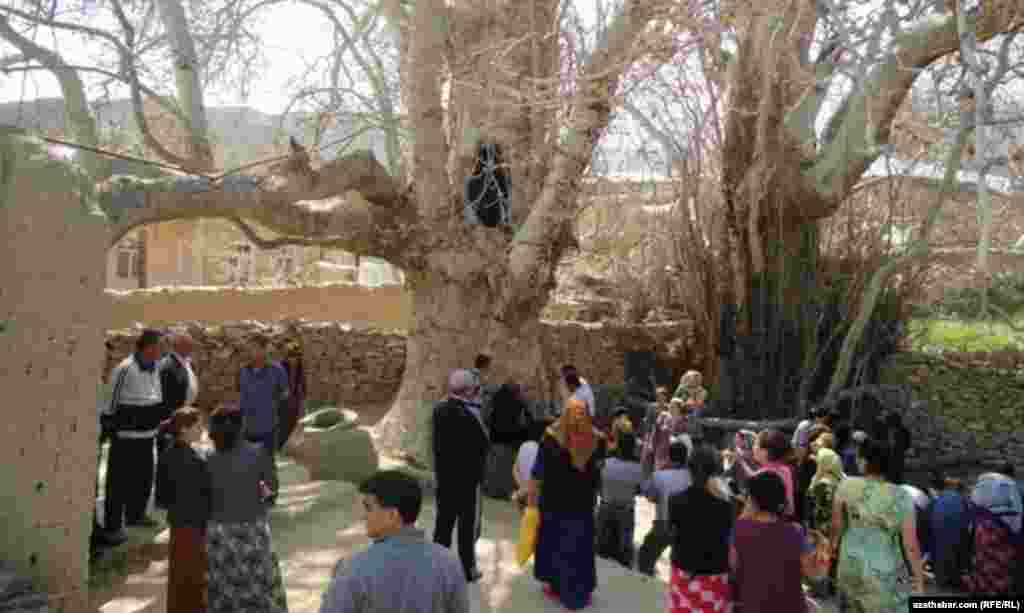 Obanyň merkezinde seleňl&auml;p outran belent &ccedil;ynara &yacute;erli &yacute;aşa&yacute;jylar azyndan m&uuml;ň &yacute;aş ber&yacute;&auml;rler.&nbsp; 