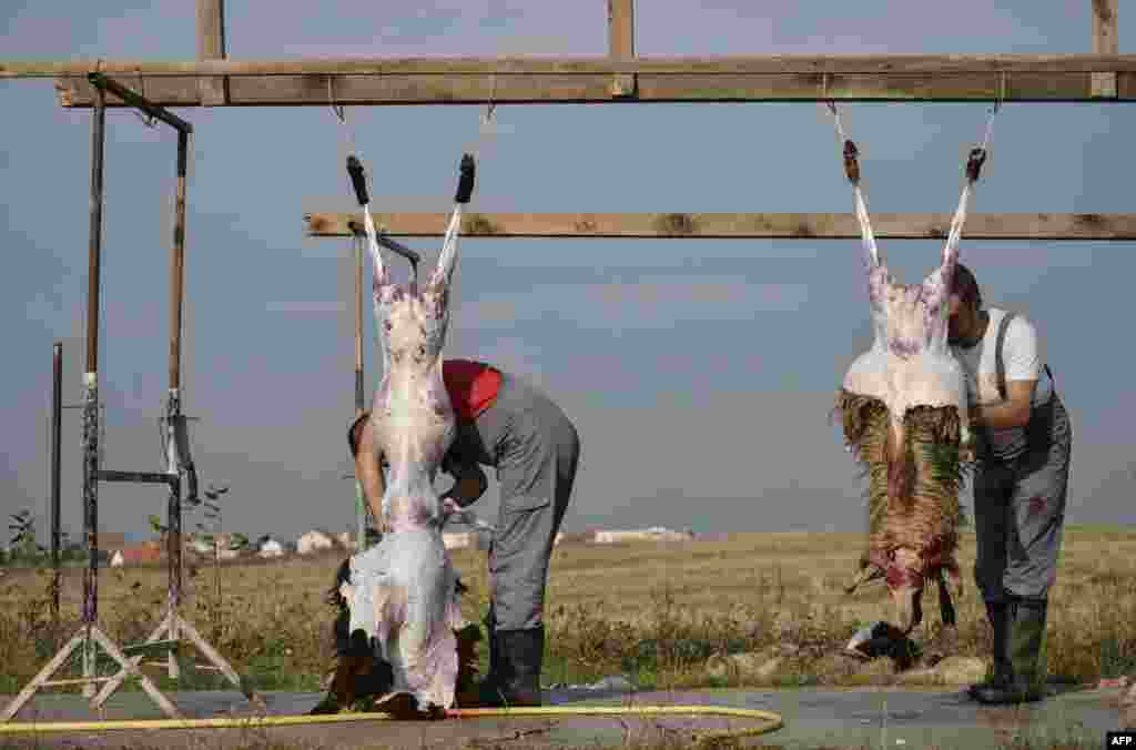 Butchers at a livestock market near Pristina, the capital of Kosovo