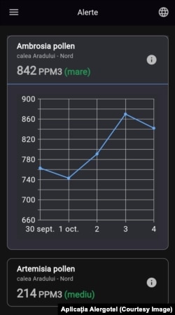 Aplicația Alergotel semnalează situația polenului de ambrozie în octombrie 2024