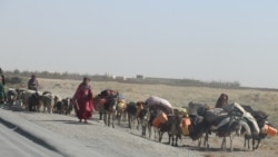 افغان کوچیان د کډو پر مهال،ا رشیف 