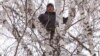 Screengrab from the Current Time video 'Russian Student Driven Up A Tree For Internet Signal'.