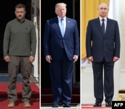Зеленский, Трамп, Путин