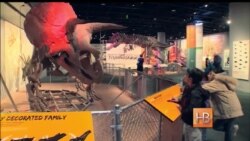 Вымершая часть экосистемы