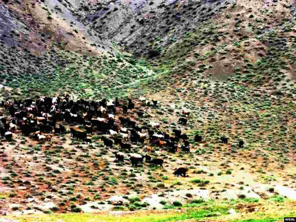 Türkmenistanyň çar tarapyndan #35