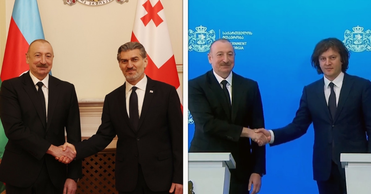 „მსგავსი მოვლენები ჩვენს რეგიონს არ უნდა შეეხოს“  - ალიევი ყაველაშვილსა და კობახიძეს შეხვდა, შეხვდება ივანიშვილსაც