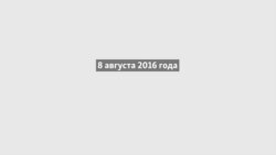 Сирия, пенсионный возраст и налоги. Что влияет на падение рейтинга Путина?