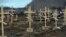 Crosses marked only with numbers stand on the graves of unknown pro-Russian separatists at a cemetery in the eastern Ukrainian city of Donetsk in February.