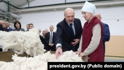 Архіўнае фота: Лукашэнка наведвае менскае тэкстыльнае прадпрыемства «Камволь» у 2017 годзе. Цягам чатырох гадоў перад гэтым дзяржава ўклала ў мадэрнізацыю камбіната 110 мільёнаў даляраў. На канец 2024 году запазычанасьць фабрыкі перавышала 240 млн рублёў