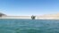 The Kamal Khan Dam in southwestern Afghanistan.