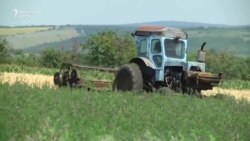 Know-how din fiare vechi