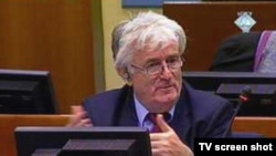 Optuženik za genocid Radovan Kardžić za vrijeme statusne konferencije o njegovom suđenju 3. rujna 2010. godine.