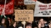 Словаки протестуют против политики правительства Роберта Фицо