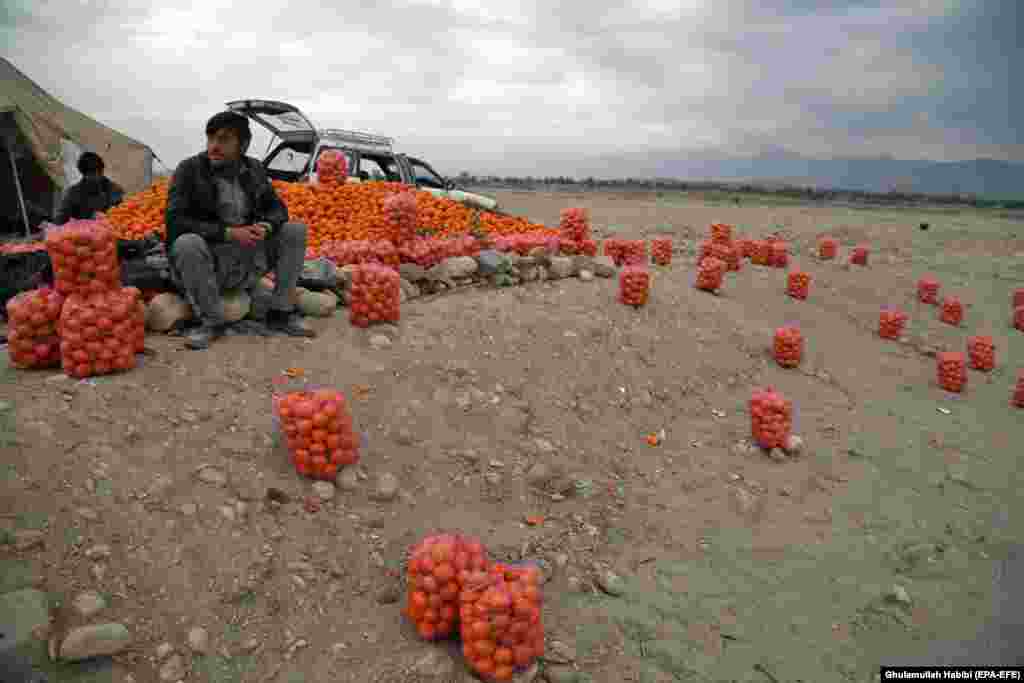 Afghan men sell oranges on the outskirts of Jalalabad. (epa-EFE/Ghulamullah Habibi)