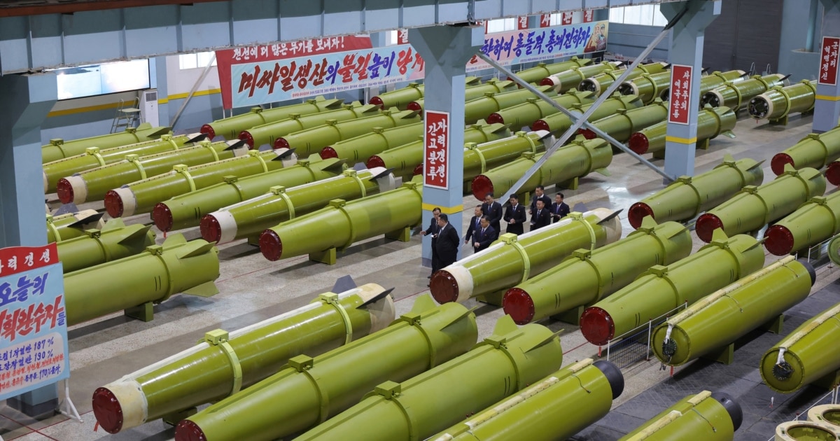 The North Korean Missiles Russia Has Been Against Ukraine