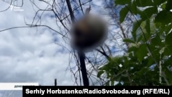 Людський череп висить на гілці на одній з локацій на Донецькому напрямку