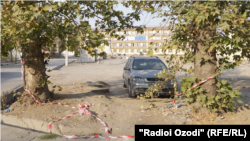 Маҳалли занозанӣ