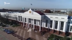 OZODNEWS: Қорамоллар қирғини – Ўзбекистонга хатар борми? | Украинага босқин