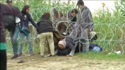Біженці з Сирії штурмують угорський кордон через колючий дріт