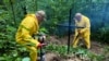 Пошуковці зі Львова працюють на місці можливого захоронення вояків УПА біля села Юречкова. Польща, 30 вересня 2025 року