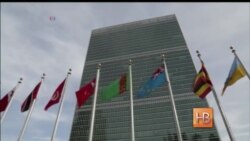 Борьба за выживание