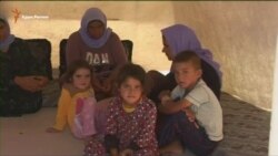 ООН признала геноцид езидов со стороны «Исламского государства» (видео)