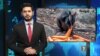 ستودیوی آزادی – تازه ترین خبرهای جهان