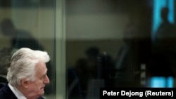 Former Bosnian Serb leader Radovan Karadzic appears during an appeal of his 40-year sentence for war crimes in The Hague on March 20.