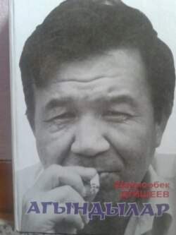 Акын жана публицист Ш. Дүйшеевдин "Агындылар" аттуу китебинин мукабасы. 19.10.2014.