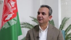 نادري: طالبانو سره د ګډې دارالانشاء جوړېدو ته هیله من یوو