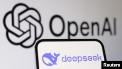 DeepSeek