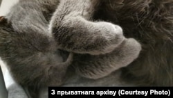 Иллюстративное фото