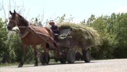 «Աստղիկ» բարեգործական հիմնադրամի աջակցությամբ Հարթագյուղի ավելի քան 100 հեկտար անմշակ հողատարածք մշակելի է դարձել