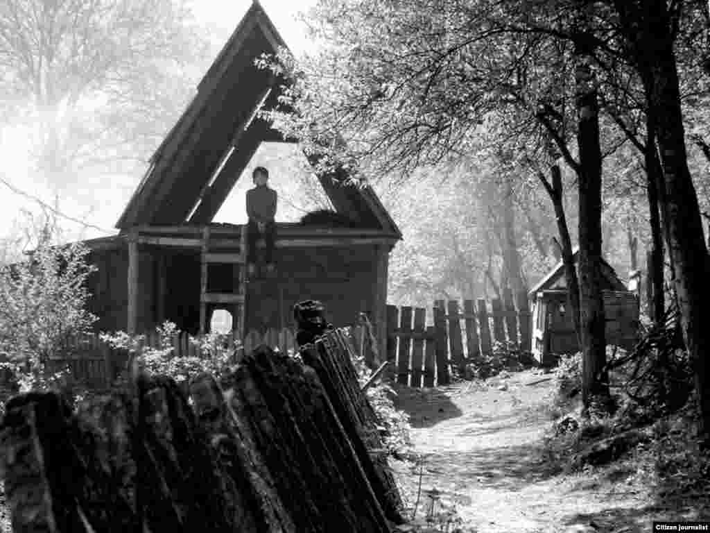 161 ნიკა ბეგაშვილი: უსათაურო