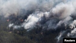 Smoke rises from wildfires above a forest belt in the eastern Abai region of Kazakhstan on June 12.