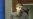 16x9 Image