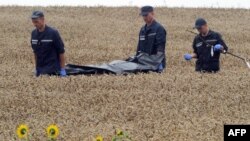 Рятувальники несуть тіло однієї з жертв катастрофи літака на Донеччині, 19 липня 2014 року