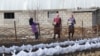 Korday2021 Kazakhstan. People work in the garden. The village of Sortobe, Zhambyl oblast. February 2, 2021