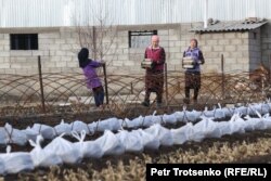 Люди работают в огороде. Село Сортобе, Жамбылская область. 2 февраля 2021 года.
