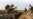 Civilian Casualties Harm U.S. Troops, Study Says