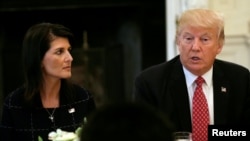 Ish-ambasadorja amerikane në Kombet e Bashkuara, Nikki Haley me ish-presidentin amerikan, Donald Trump. Fotografi nga arkivi.