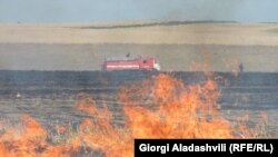 Сүрөттүн жаңылыкка тиешеси жок. 