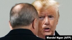Дональд Трамп и Реджеп Эрдоган в Вашингтоне. 13 ноября 2019 года