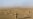 U.S. Troops Launch Major Operation In Southern Afghanistan