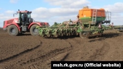 Посів озимих культур в Криму